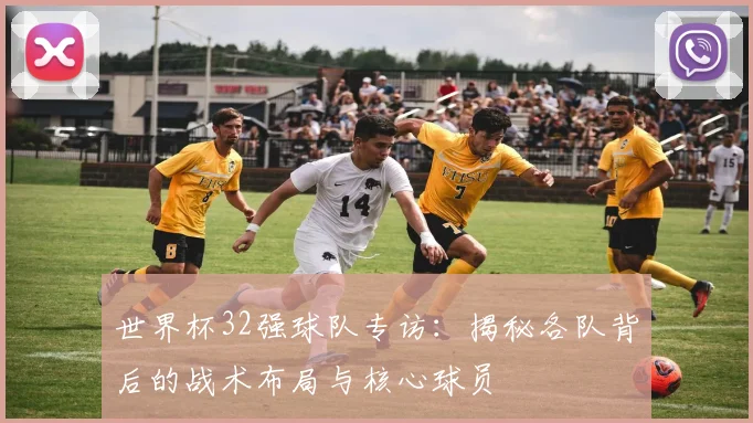 世界杯32强球队专访:揭秘各队背后的战术布局与核心球员