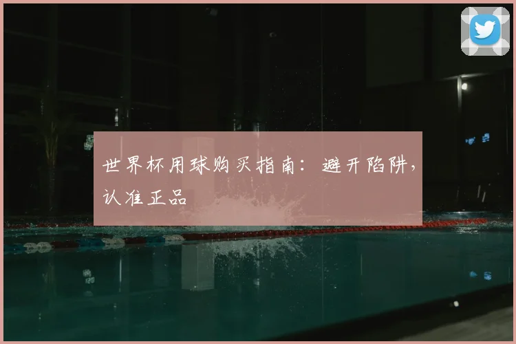 世界杯用球购买指南：避开陷阱，认准正品